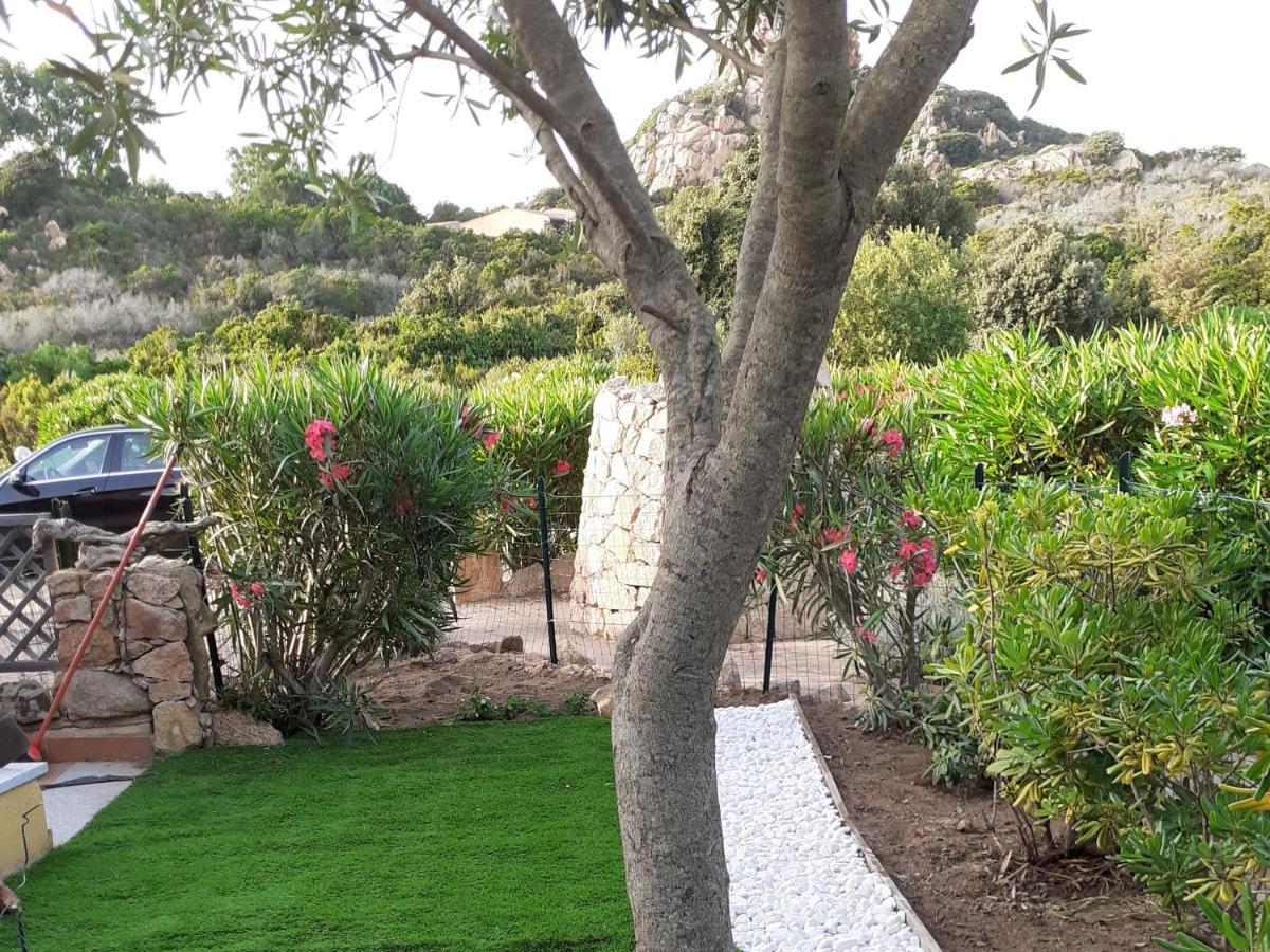 Villetta Rocchi - Costa Paradiso Buitenkant foto