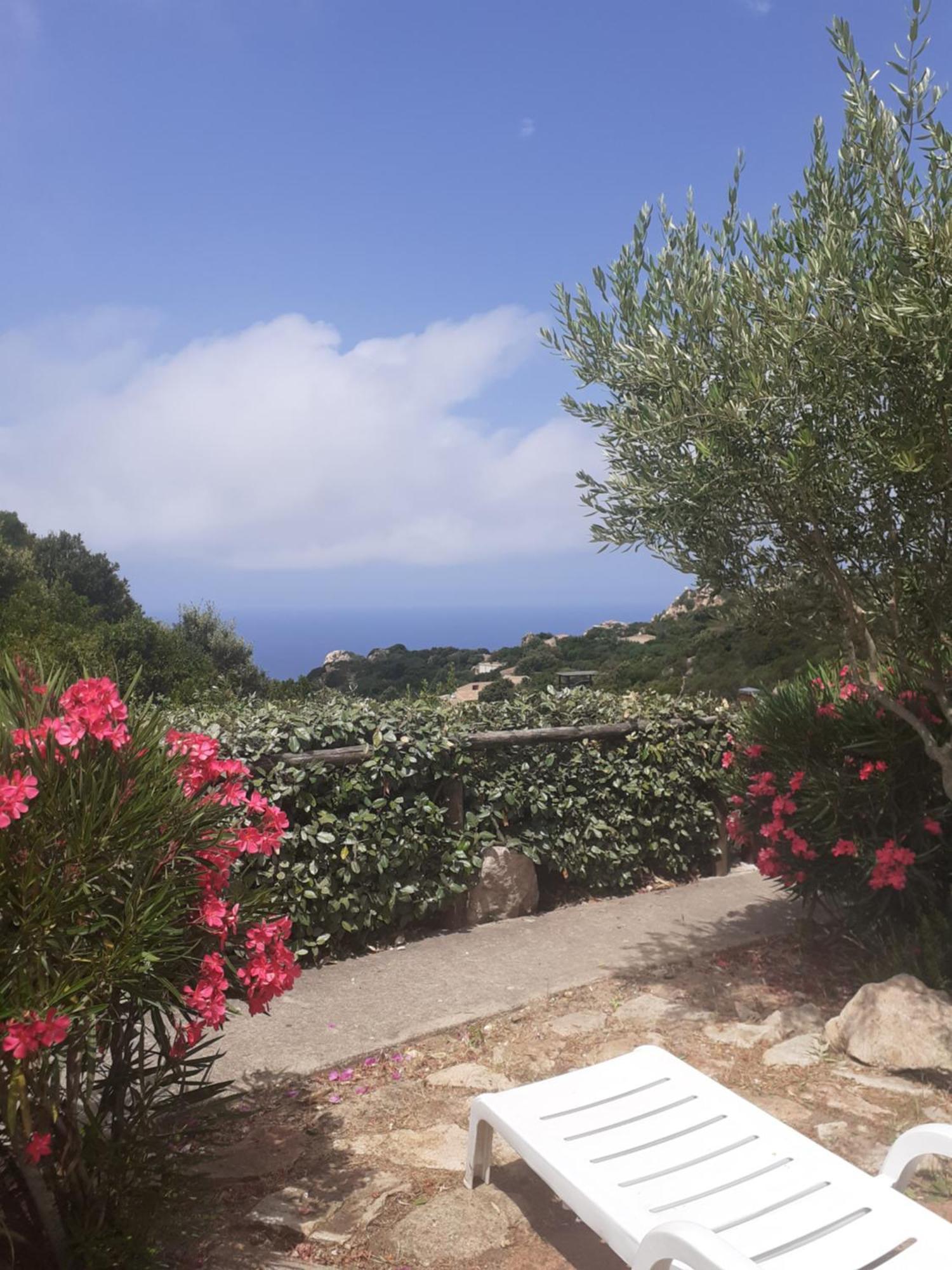 Villetta Rocchi - Costa Paradiso Buitenkant foto
